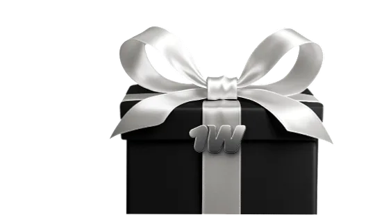 Big Boost Casino payment options